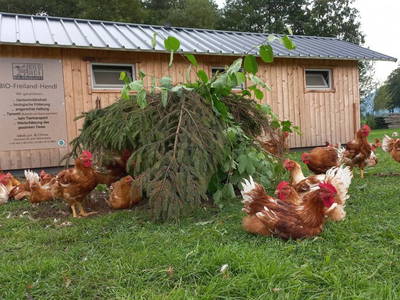 Bild 16 aus  Ferienheim Riedhof