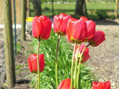 Bild 13 aus  Ferienhof Rudolf Becker Haus Liebevoll