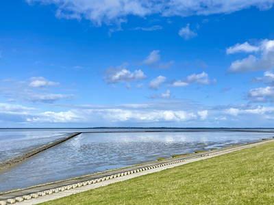 Bild 11 aus  Drei Tage am Meer