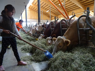 Bild 17 aus  Schötzerhof