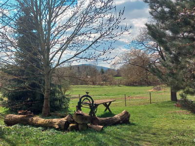 Bild 19 aus  Gut Friedenthal