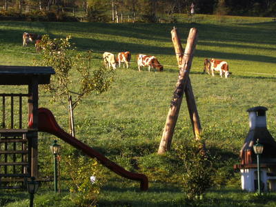 Bild 25 aus  Vordersattlegghof