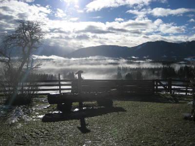 Bild 15 aus  Biohof-Rechenmacher GbR