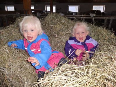 Bild 29 aus  Haberlhof