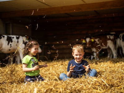 Bild 76 aus  LandSelection Ferienhof Zur Hasenkammer