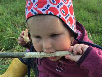 Bild 37 aus  Ferienhof Schlünzen