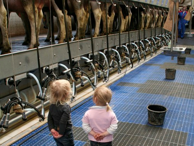 Bild 10 aus  Ferien in Zahren