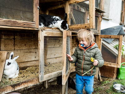 Bild 4 aus  Hatzeshof