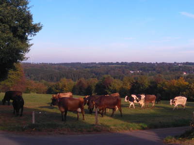 Bild 15 aus  Ferienhof Jansen