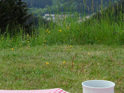 Bild 7 aus  Steffahof - Mitglied von LandSelection