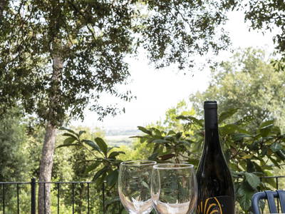 Bild 2 aus  Wunderschönes Haus im Wald am Meer in der Toskana