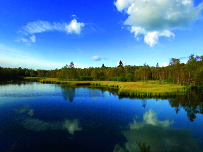 Bild 24 aus  Schmidts Ferienhof - Tierisch guter Urlaub im Herzen Deutschlands