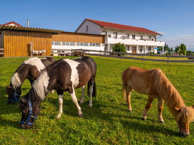 Bild 36 aus  Ferienwohnungen Wagner