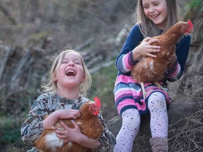 Bild 9 aus  Waldbachhof