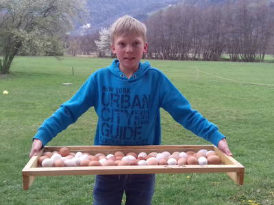Frische Bioeier von unserer fleißigen Hühnern