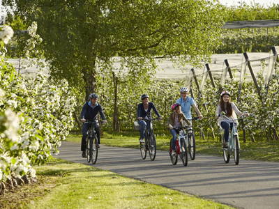 Bild 15 aus  Obst- und Ferienhof Ragg