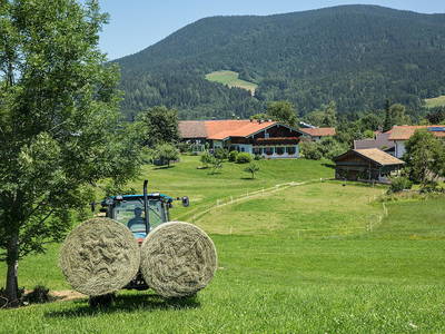 Heuernte mit Aussicht