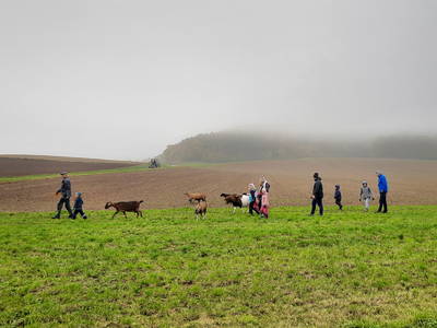 Bild 33 aus  Steigerwälder Zwergenhof ihr kleiner Kinder-Bauernhof für Familien- und Gruppenurlaube