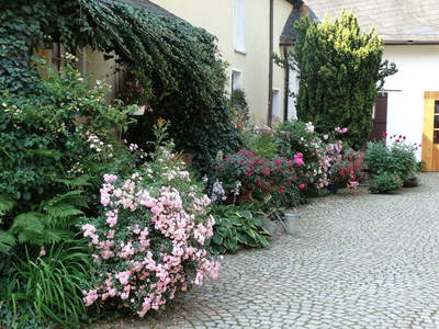 Bild 28 aus  Ferienhof "Familie Groh"