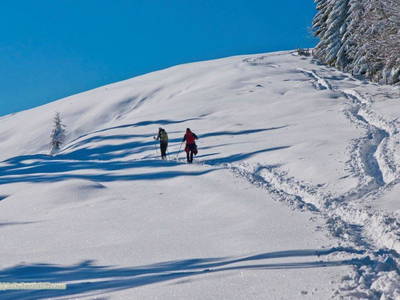 Bild 23 aus  Obermoarhof