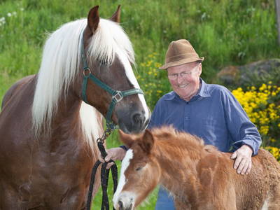 Bild 4 aus  Schätzlehof