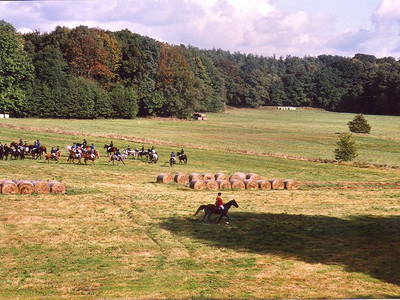 Bild 17 aus  Ferien am Schloss
