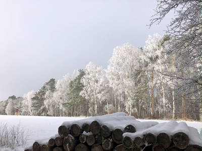 Bild 22 aus  Braunsberger Höfe