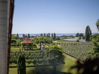 Bild 13 aus  Obst- und Ferienhof Gomeringer