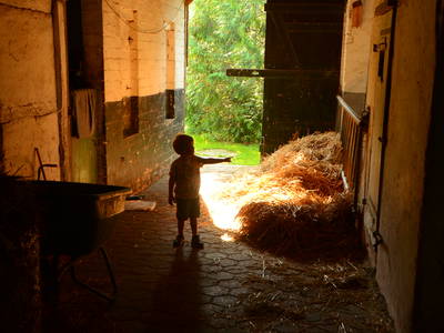 Bild 31 aus  Ostseeferienhof Tralau