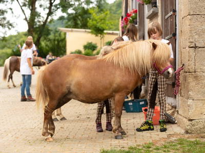 Bild 26 aus  Hof in Liebesdorf