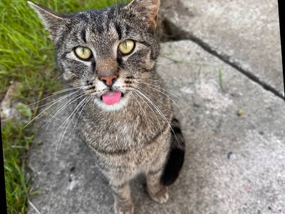 Bild 14 aus  Hof Belvedere an der Ostsee