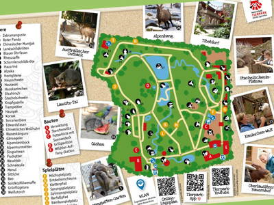 Bild 9 aus  Urlaub im Zoo – Tierpark Görlitz