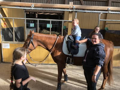 Bild 31 aus  Reitschule Fuchsenhof FN