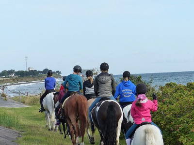 Bild 52 aus  Ferienhof Rauert