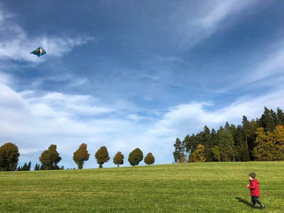 Drachensteigen auf dem Schelterhof