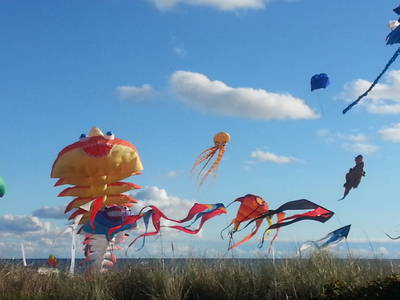 Oft findet im Oktober am Südstrand ein Drachenfestival statt. Es geht aber auch weniger professionell und durch den Seewind fast immer... und macht Jung und Alt Spaß.