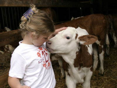 Bild 8 aus  Wofahanslhof