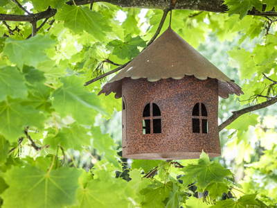 Bild 84 aus  Pointbauer