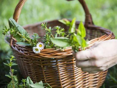 Bild 66 aus  Haus Bernardes