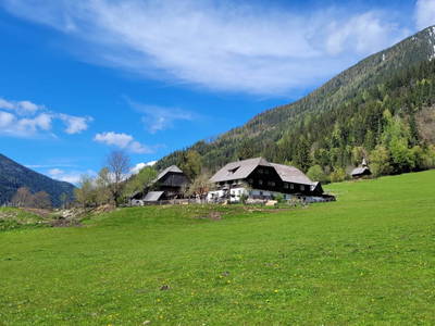 Bild 182 aus  Der Perweinhof