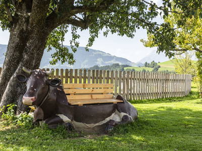 Bild 113 aus  Chalet Steinerner Meerblick