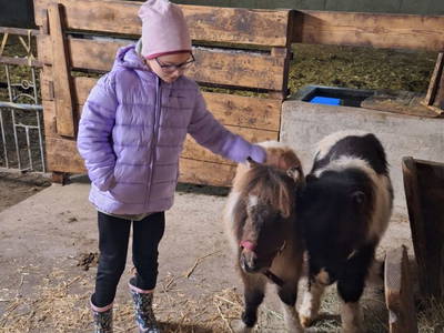 Bild 198 aus  Seewaldhof