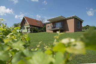 Ferienhäuser im Weingarten aus Fehring