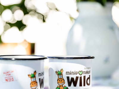 Bild 181 aus  Miniponyhof Wild