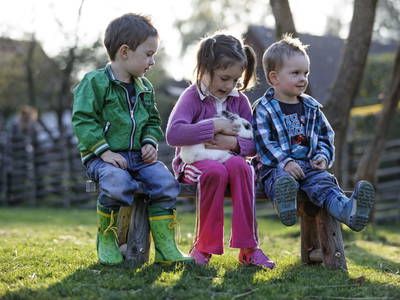 Bild 95 aus  Miniponyhof Wild