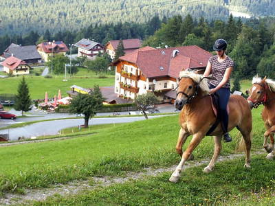 Bild 44 aus  Aparthotel & Restaurant Ederhof