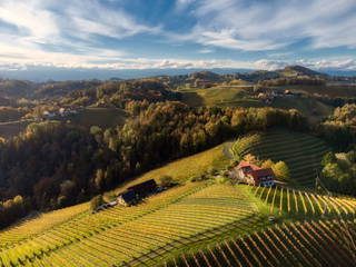 Weingut Gästezimmer Adam aus Glanz an der Weinstraße