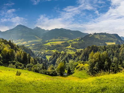 Bild 124 aus  Pesbichl