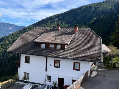 Bild 135 aus  Wallneralm