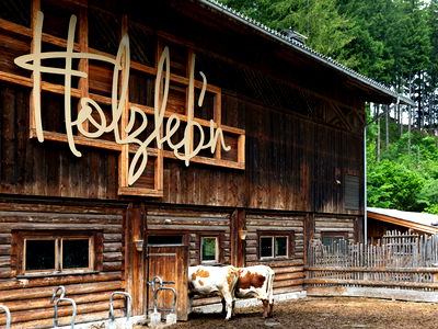 Bild 4 aus Feriendorf Holzlebn
